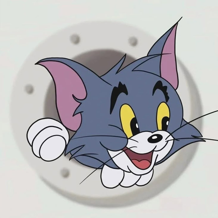 Avatar đôi Tom and Jerry