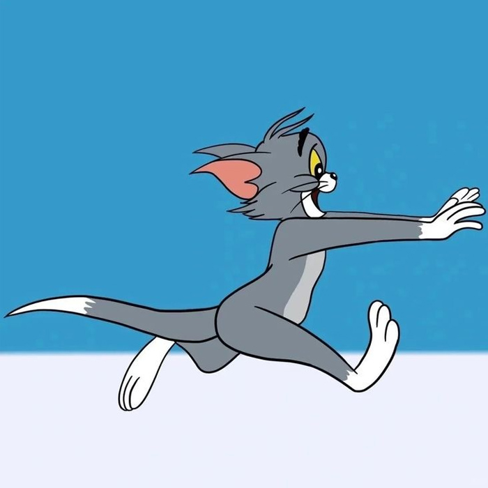 Avatar đôi Tom and Jerry