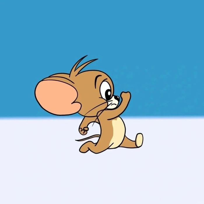 Avatar đôi Tom and Jerry
