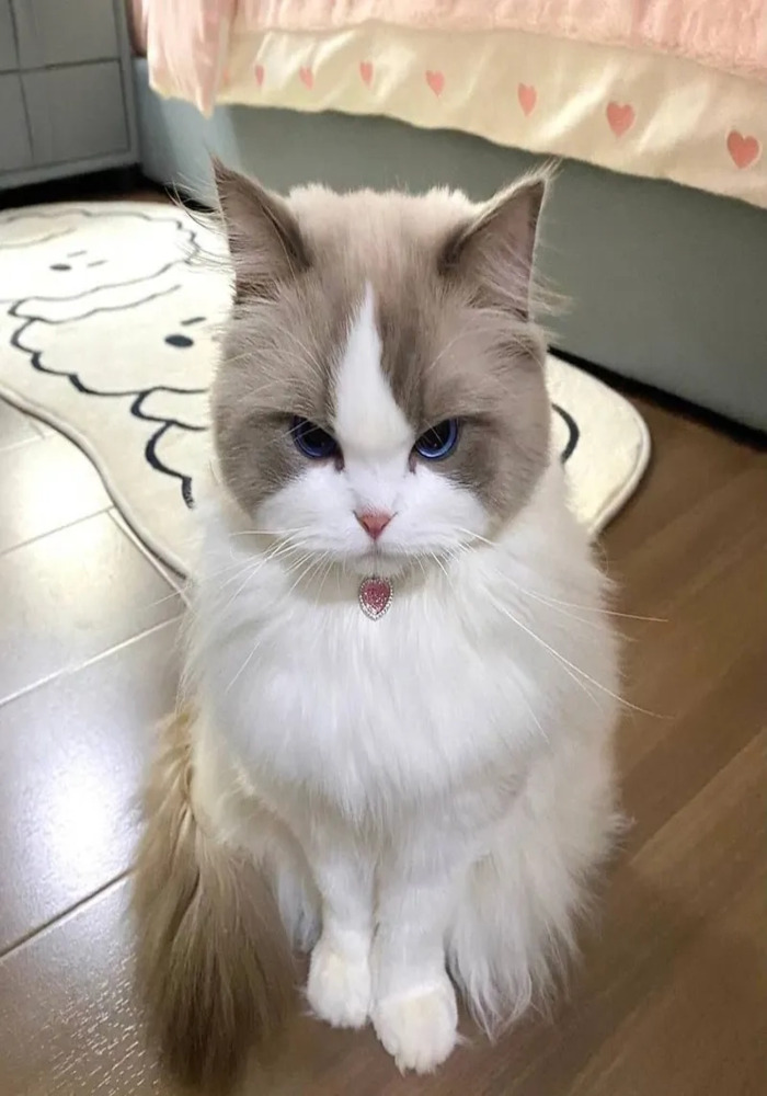 Đồng Đội Liên Quân 'Có Cặp': Avatar Đôi LQ Siêu Ngầu
