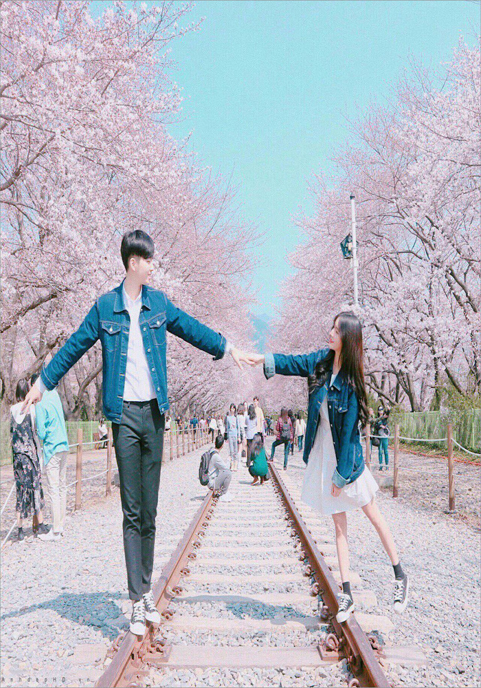 Lung Linh Tình Yêu Anime: Avatar Đôi Sáng Màu Tươi Tắn