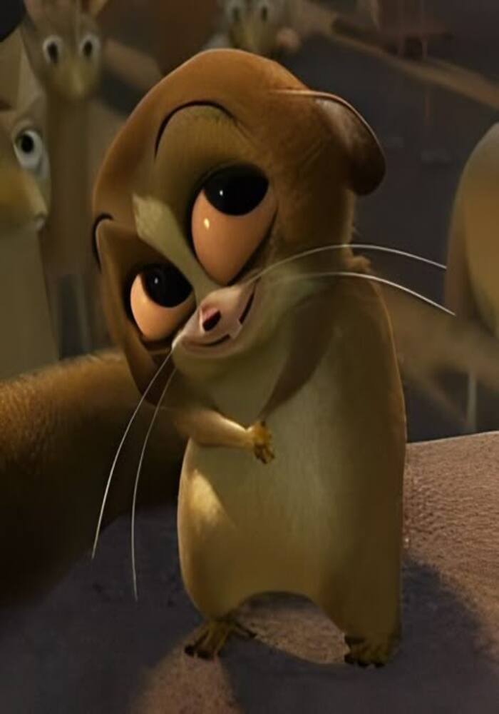 Ngắm Mãi Không Chán Với Ảnh Avatar Hài Hước Cute Đốn Tim