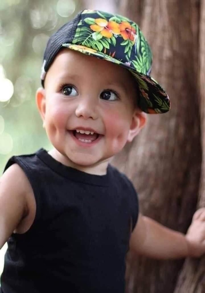 May Mắn Theo Con Giáp: Hình Nền Điện Thoại 12 Linh Vật