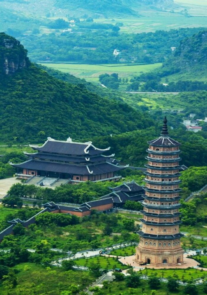 Sức Sống Thiên Nhiên: Hình Nền Điện Thoại Xanh Lá Cây Tươi Mát