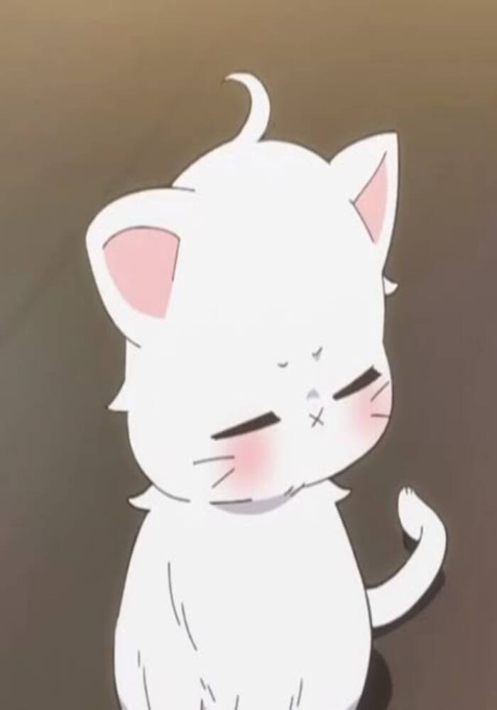 Avatar Đôi Mèo Cute Cho Tình Yêu Thêm Ngọt Ngào Avatar Đôi Mèo Cute Cho Tình Yêu Thêm Ngọt Ngào