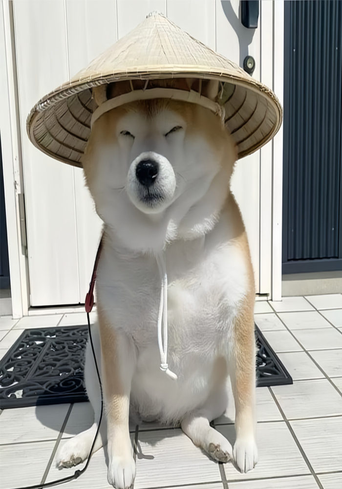 Avatar TikTok Cute Siêu Cấp Đáng Yêu Hết Nấc