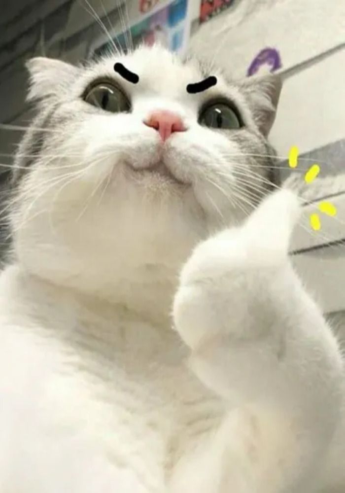 Tuyển Chọn Avatar TikTok Cực Chất Dành Cho Nam