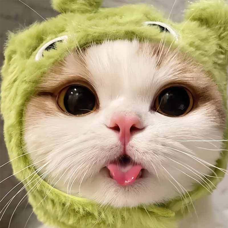 Avatar Vô Tri Từ Meme Cute: Hài Hước Mà Vẫn Đáng Yêu
