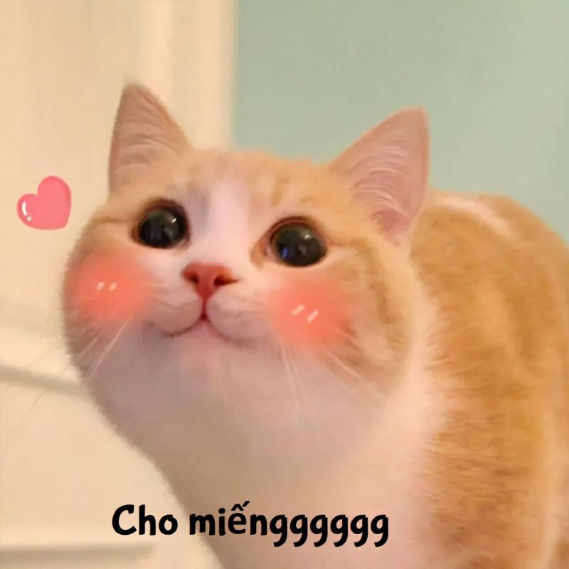 Kho Hình Ảnh Meme Làm Avatar Vô Tri Siêu Bựa
