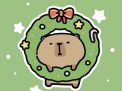 Avatar capybara giáng sinh cosplay vòng nguyêt quế