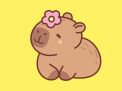 Hay đơn giản là avatar capybara có bông hoa trên đầu