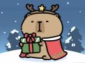 Avatar capybara bên hộp quà