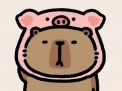 Avatar capybara vô tri cosplay heo siêu xinh