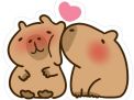 Chiếc avatar capybara thơm má ngọt ngào