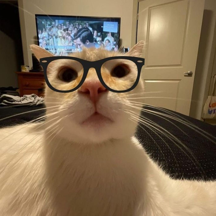 avatar vô tri cute